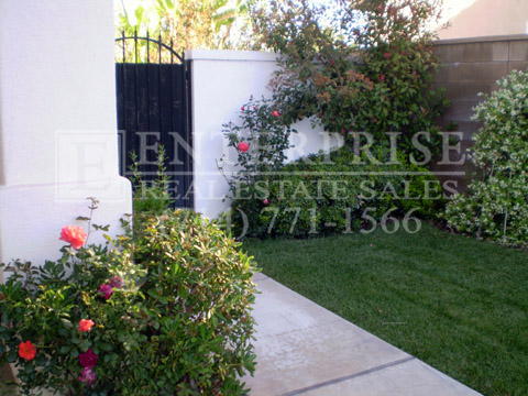 Clearglen front yard