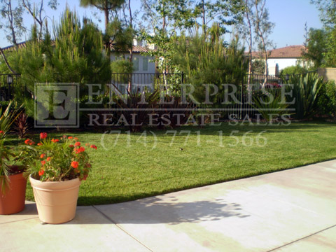 Clearglen yard