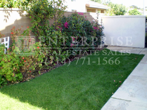 Clearglen yard